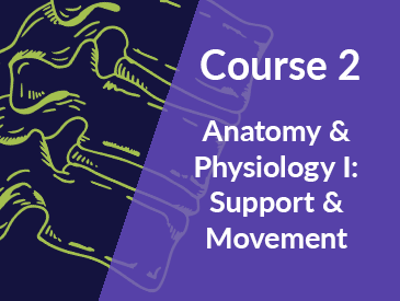  Human Anatomy & Physiology: Support & Movement