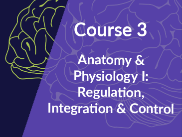 Anatomy & Physiology: Regulation, Integration, & Control