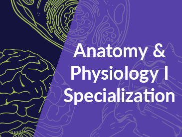 Anatomy & Physiology I Specialization (3 Courses)