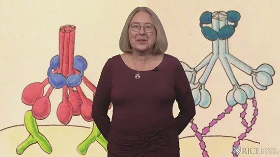 Course Image Fundamentals of Immunology 