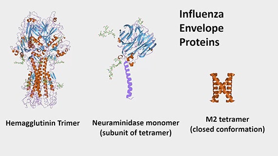 Course Image Fundamentals of Immunology 