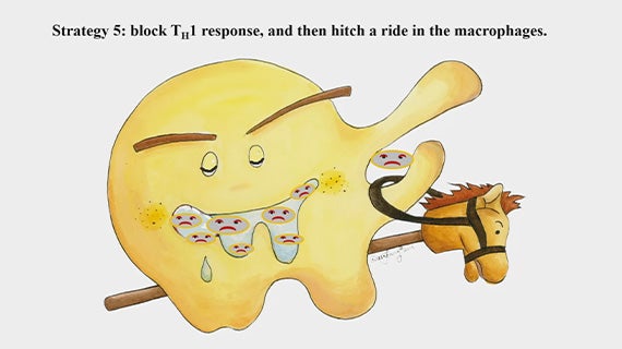 Course Image Fundamentals of Immunology 