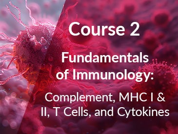 Course 2:Fundamentals of Immunology: Complement, MHC I and II, T Cells, and Cytokines 