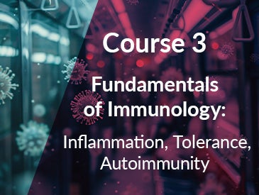 Fundamentals of Immunology: Inflammation, Tolerance, Autoimmunity
