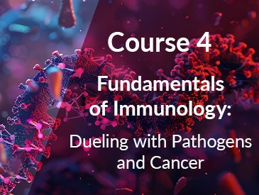 
Fundamentals of Immunology: Dueling with Pathogens and Cancer 