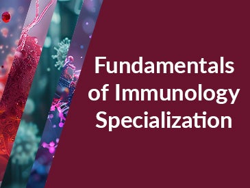 Fundamentals of Immunology Specialization