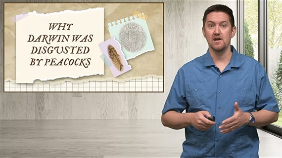 Lecture sample image for Introduction to Biology