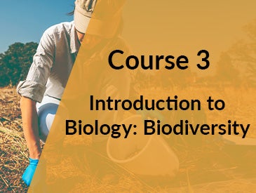 Introduction to Biology: Biodiversity (Course 3)