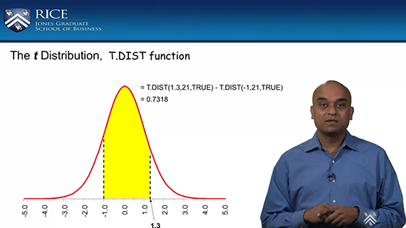 A man stands next to a presentation slide showing a graph titled The t Distribution, T.DIST function. The slide includes a yellow shaded area under a red curve representing a t-distribution. The Rice University logo is at the top left.