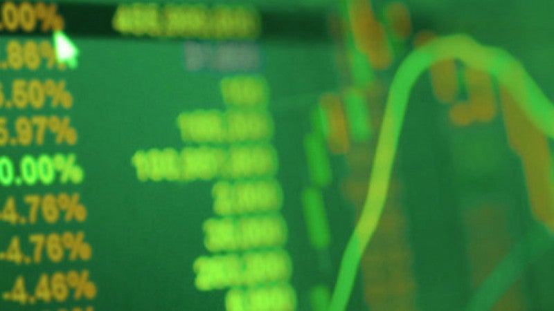 Biases and Portfolio Selection