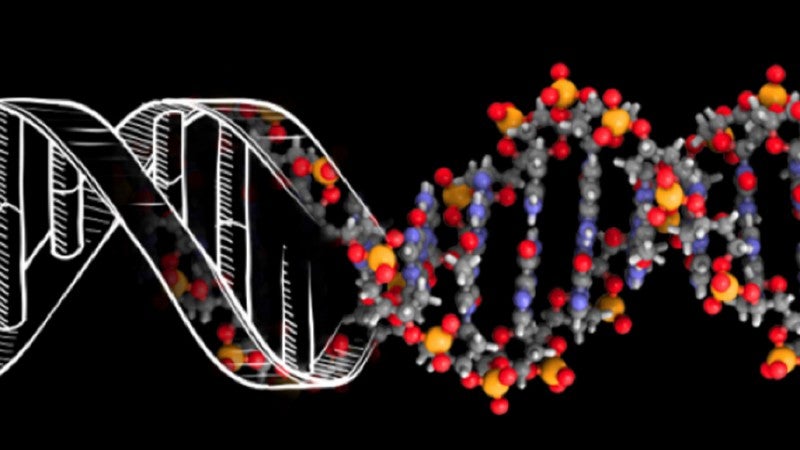 DNA: Biology’s Genetic Code
