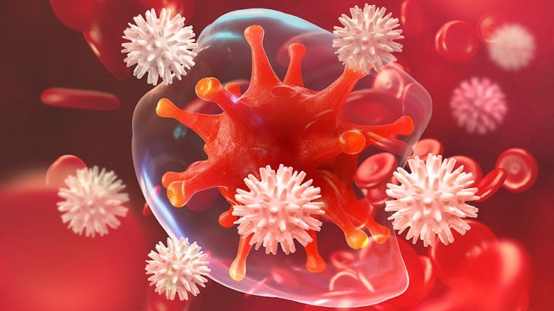 Fundamentals of Immunology Specialization