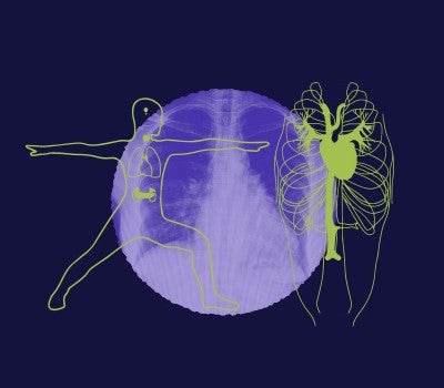 Anatomy and Physiology II course one image