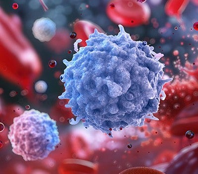 course one search thumbnail for immunology 