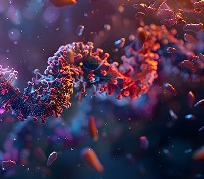 course 4 search thumbnail immunology 