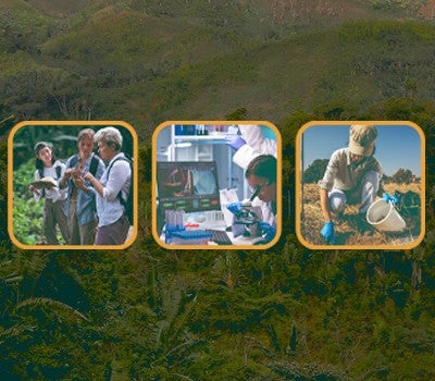 specialization search thumbnail 